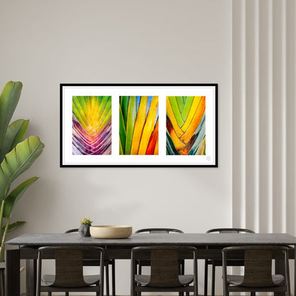 Chromatic Cactus Triptych