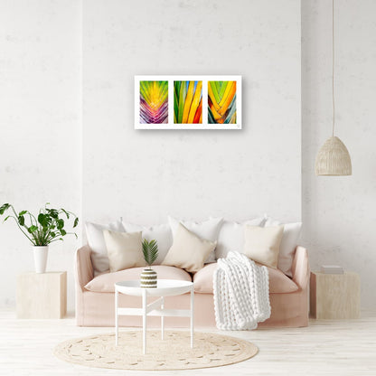 Chromatic Cactus Triptych