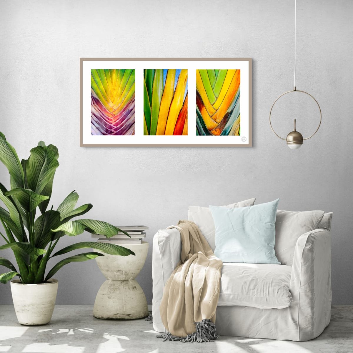 Chromatic Cactus Triptych