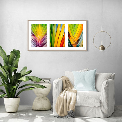 Chromatic Cactus Triptych