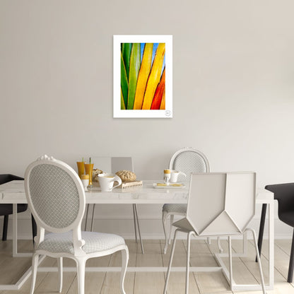 Chromatic Fan III