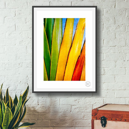 Chromatic Fan III