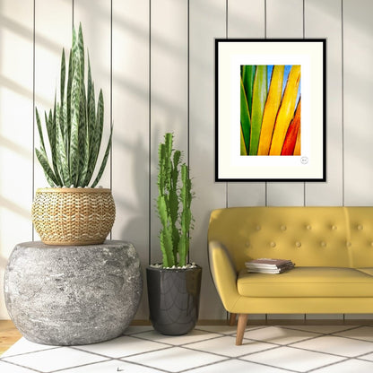 Chromatic Fan III