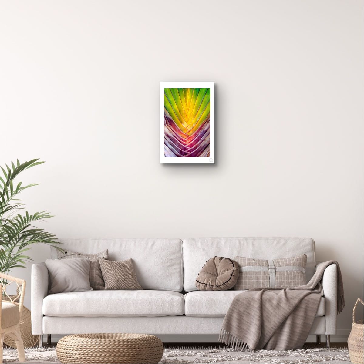 Chromatic Fan