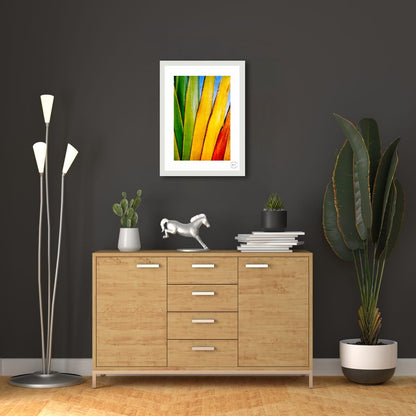 Chromatic Fan III