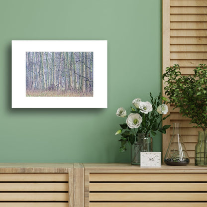 Wood From The Trees (Limited Edition)