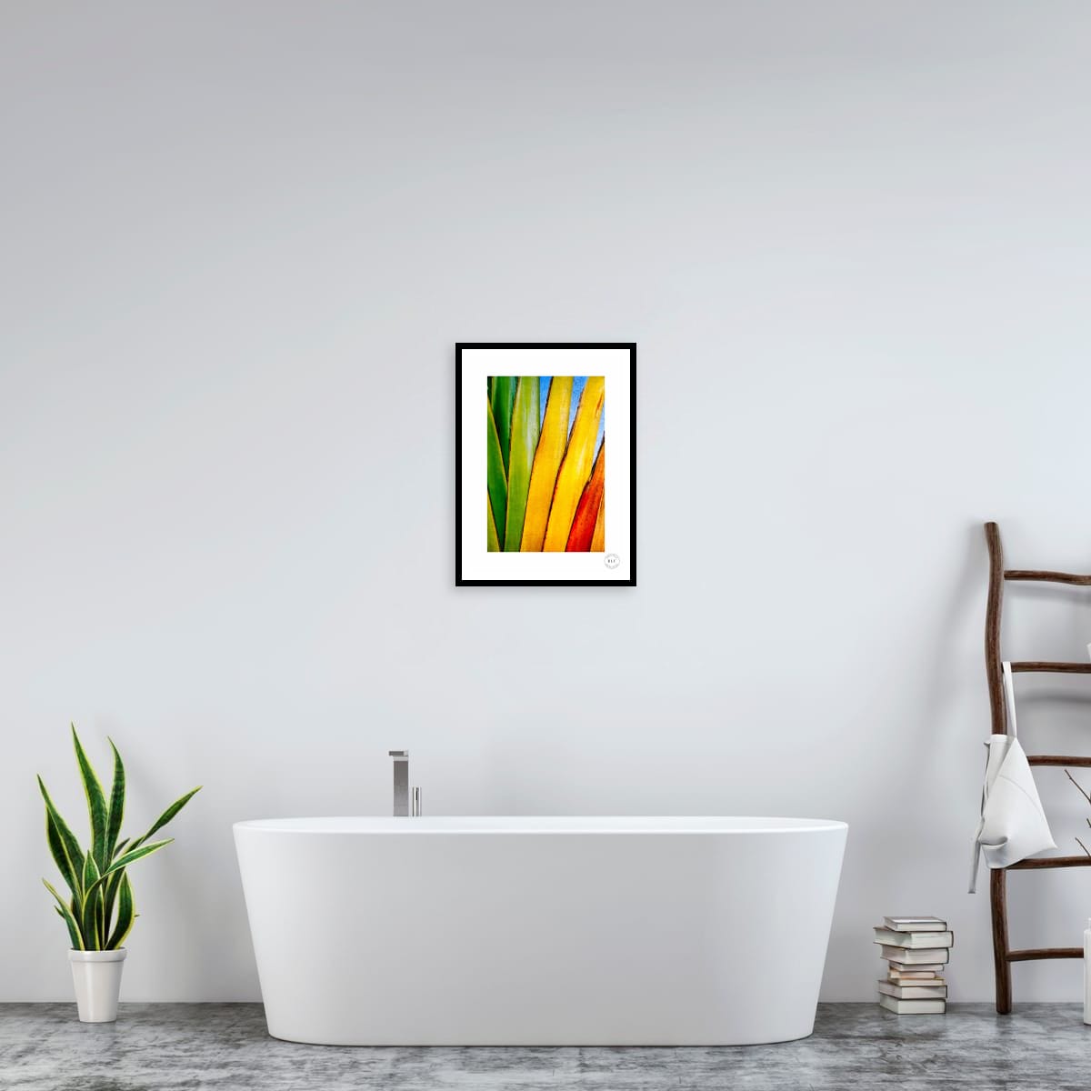 Chromatic Fan III
