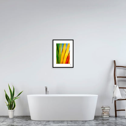 Chromatic Fan III